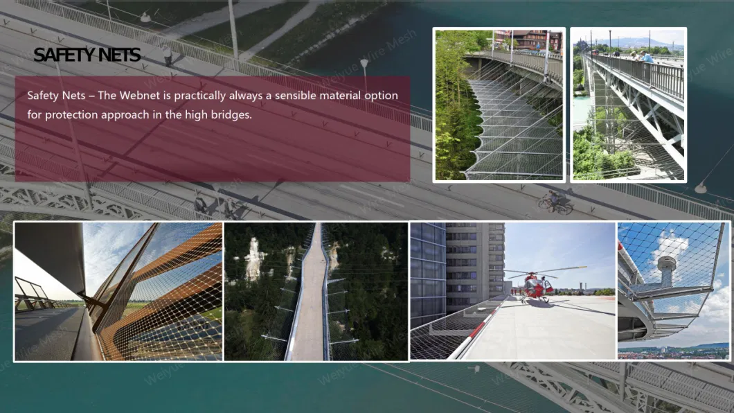 304/316 7*7 สวนสัตว์ สายใย Mesh รั้ว สีเขียว Wall Mesh เครือข่ายความปลอดภัย 1