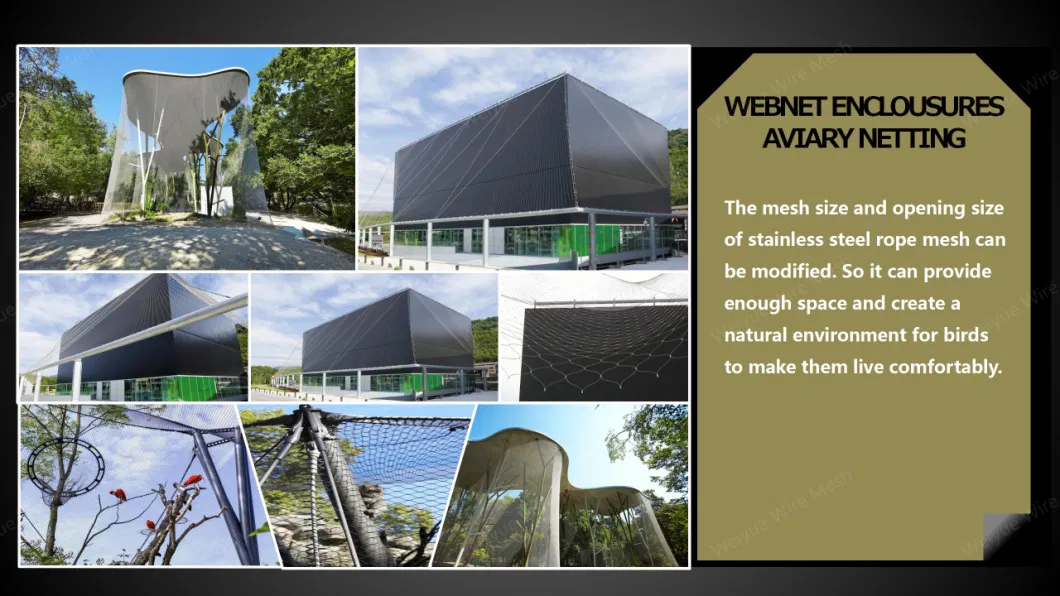 304/316 7*7 สวนสัตว์ สายใย Mesh รั้ว สีเขียว Wall Mesh เครือข่ายความปลอดภัย 2