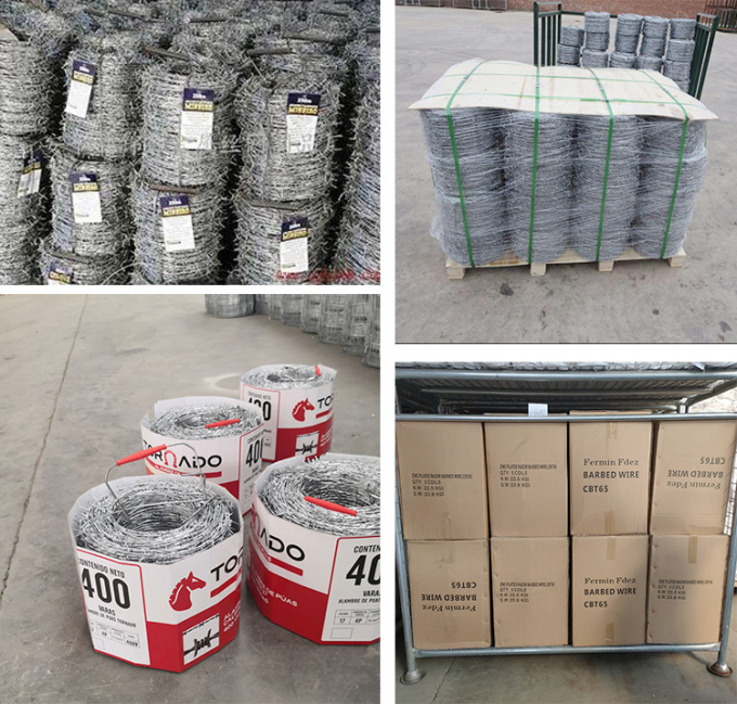 ราคาถูก คอนเซิร์ตินา หมักร้อน สายด้ายมีดโกน 3