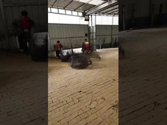 สีดํา แอนเนล รากลูกกลอง สายกระปุกสําหรับต้นไม้หรือพืช รากลูกกลอง การขนส่ง