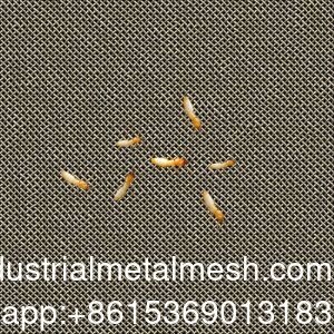 ตาข่ายลวดสแตนเลสสานกันปลวก AISI 304 316 316L