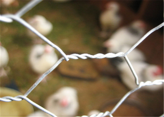 304 สแตนเลส 20 GA ไก่โลหะลวดตาข่ายสัตว์ปีกตาข่าย Hex หลุม 3/4 "