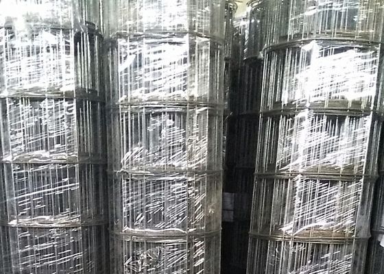 3 มม. เส้นผ่าศูนย์กลางลวด 15 ซม. เปิดตาข่ายดำรอยลวดตาข่ายสำหรับตลาดอเมริกาใต้