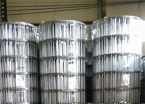 3 มม. เส้นผ่าศูนย์กลางลวด 15 ซม. เปิดตาข่ายดำรอยลวดตาข่ายสำหรับตลาดอเมริกาใต้