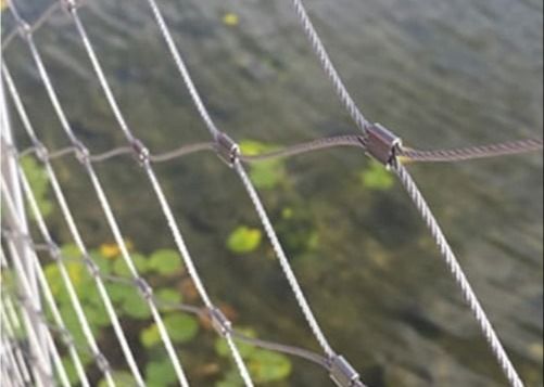 โครงการสแตนเลส Ferrule สําหรับสายสแตนเลส