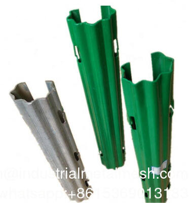 โลหะเหล็กผลมังกร โพสโลหะ องุ่น Trellis องุ่นสตั๊กสําหรับสวนผลไม้