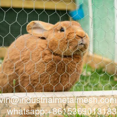 4 นิ้วเปิด Hexagonal สาย Mesh ใช้สําหรับรั้วสวน