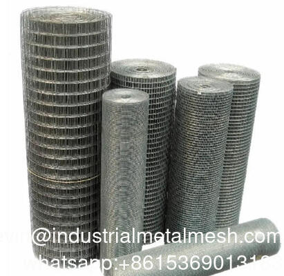 Hot Dipped Rouleau De Grillage Galvanized Steel Wire Mesh Welded Mesh Fence 1/2'' 1/4'' Galvanized Wire Mesh