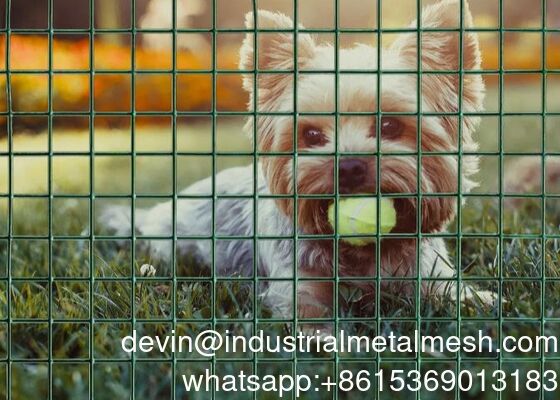 PVC Coated Galvanized Steel Welded Wire Mesh for Garden Agriculture Poultry