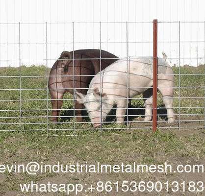 กระปุก 6 มิลลิเมตรสวนรั้ว Welded สาย Mesh ใบ