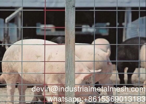 แผ่นหมูหมึกกระปุก DIP ร้อนสําหรับรั้วปศุสัตว์และวัว