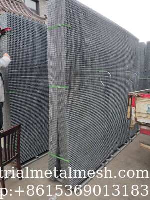 Electro Galvanized 2*2 Welded Wire Mesh Panel 2m*1m for Construction