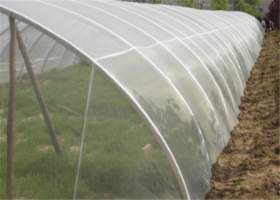 2x30m ยืนยันต่อ UV แอนติแมลง ตะกร้าแมลง Mesh การเติบโตของผัก สีขาว