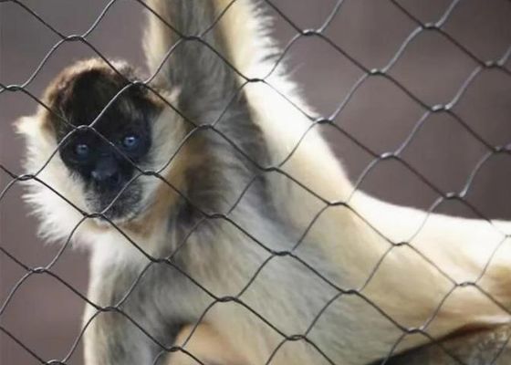 ตาข่ายลวดสลิงสแตนเลส Ss 304 Ss 316 ตาข่ายเชือกปลอกสแตนเลสสำหรับขาย