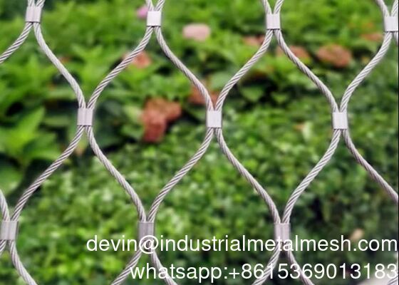 เครือข่ายนก X-Tend สูง