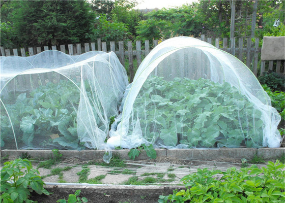 การปลูกสวน Hdpe Fly Screen Mesh การเกษตร การปลูกแมลง