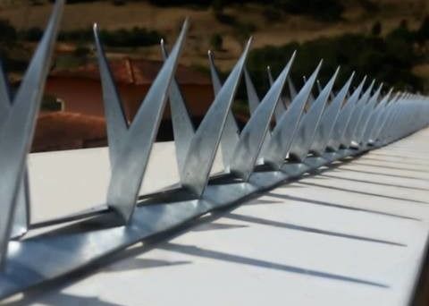Barb L64mm Barb หนา 0.8mm Fence Wall Spikes